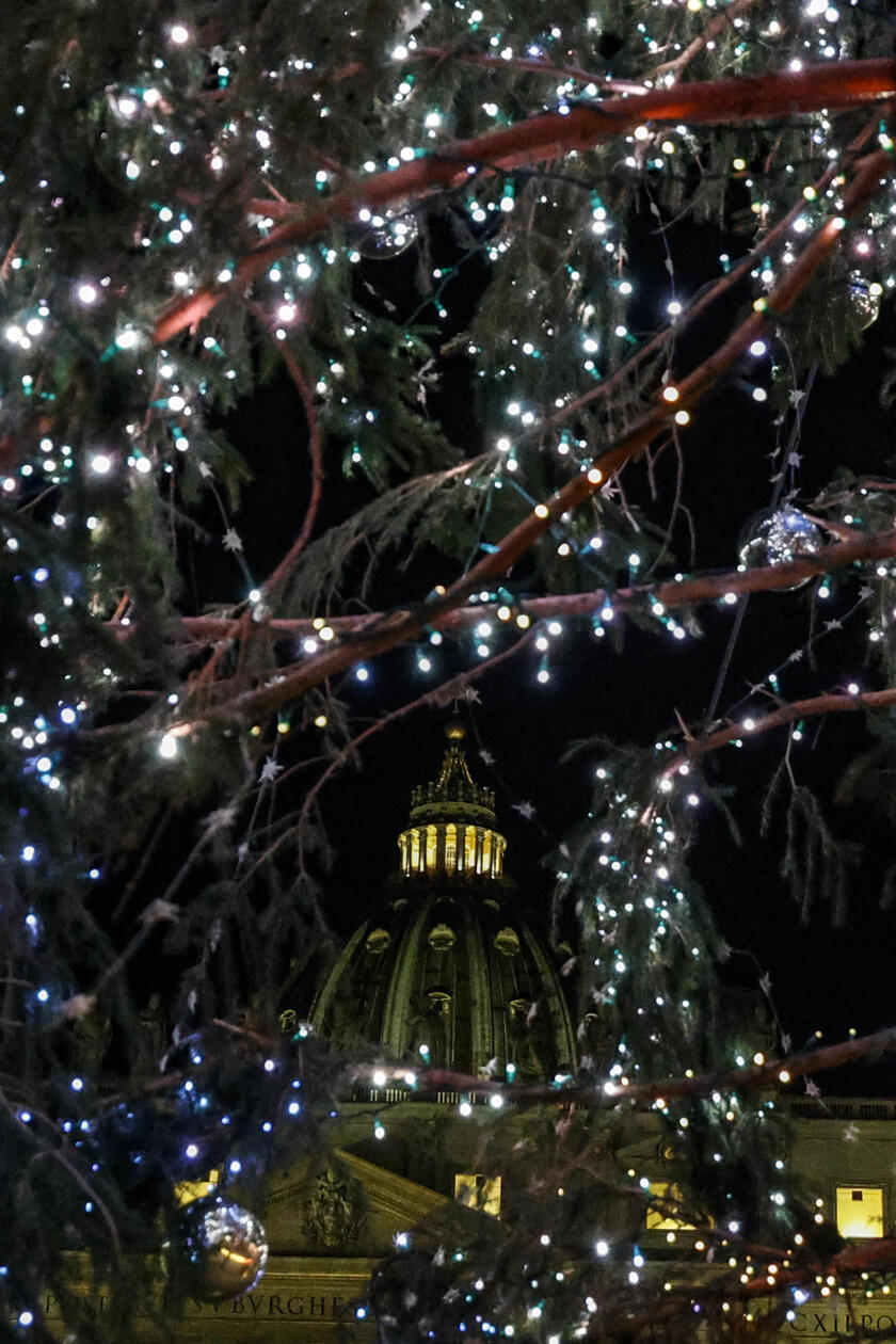 Accensione albero di Natale a San Pietro - RIPRODUZIONE RISERVATA